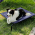Bedsure Elevated Cooling Cots Bed for Large Dogs, Portable Indoor & Outdoor Hammock with Skid-Resistant Feet, 49 inches