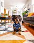 100 Pack Seamless PET SHOW Dog Bandanas Bulk for Small Medium Dogs Girl Boy Puppies Washable Paw Print Pet Scarf