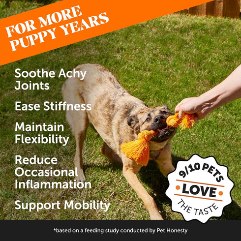Pet Honesty Hemp Hip & Joint Supplement for Dogs, Glucosamine Chondroitin, Turmeric, Supports Mobility, Duck Flavor.