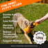 Pet Honesty Hemp Hip & Joint Supplement for Dogs, Glucosamine Chondroitin, Turmeric, Supports Mobility, Duck Flavor.