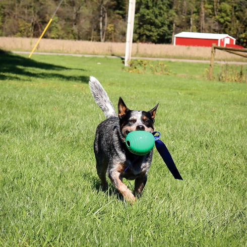PetKORE 4.75", : KoreFlex Ball & Tail - Green, Dog Toy, Shape Maintaining Rubber, Durable Strap, Treat Stuffing Center