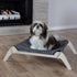 Pet Lounge, Raised Indoor Pet Bed for Cats or Small Dogs, Reversible Fabric Hammock for Comfort