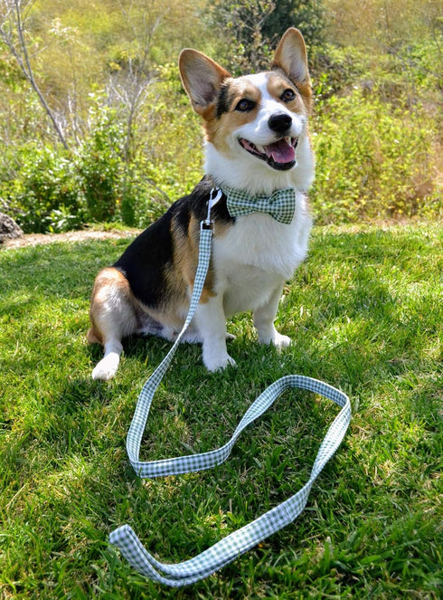 lionet paws Cotton Handmade Dog Leash Unique for Small Medium Large Dogs