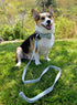 lionet paws Cotton Handmade Dog Leash Unique for Small Medium Large Dogs