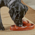 Brightkins Touchdown Time! Interactive Dog Puzzle Toys - Gifts for Dogs, Treat Puzzle