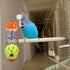 PERSONALIZED Perch Toy with Rotating Balls for Birds, Budgies, Budgerigars, Parakeets, Parrots, Cockatiels, Parrotlets