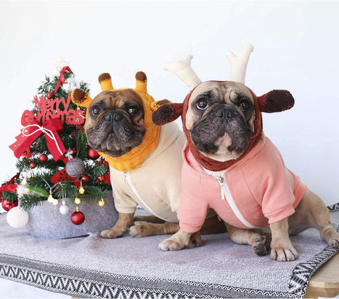 iChoue French Bulldog Clothes Hoodies for Dogs, Pug English Boston Terrier Bully Pitbull Corgi Sweatshirt, Peach/Large