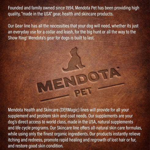 Mendota Pet Slip Leash, Dog Lead and Collar Combo, Taffy, 1/2 in x 6 ft, Made in The USA, for Large Breeds
