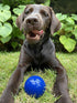 SuperChewy Tough Dog Ball Toy, Strong Natural Rubber, Great Fetch and Chew Toy for Aggressive Chewers