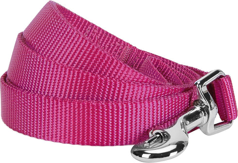 Blueberry Pet Essentials Very Berry Dog Leash for Large Dogs, 4' * 1" Heavy Duty Nylon Lead