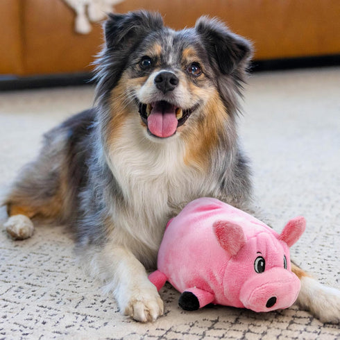 Outward Hound Fattiez Pig Plush Squeaky Toy for Small Dogs