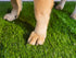 22 x34 Artificial Grass Turf Pad for Dog Potty Training in (Replacement Grass)