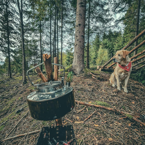 Fire-Maple Antarcti Portable 1 Liter Lightweight Stainless Steel Camping Kettle, Ideal for Outdoor Use
