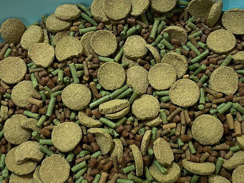 Aquaticblendedfoods Pleco Food,Veggie Mix,Krill,Spirulina,Brine Shrimp,Cory Cats,Bottom Feeders,Snail,Shrimp,Plecostomus,Wafers,Garlic & Kelp A16 (8oz)