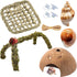 Hermit Crab Accessories, Natural Hermit Crab Toys Reptile Hammock,Coconut Shell Hideout Decor