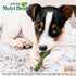 Nylabone Nutri Dent Dog Dental Chews, Natural Teeth Cleaning & Breath Freshener, Small (64 Count)