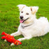 Set 3 Pack PetLike Latex Dog Chew Toy Durable Non-Toxic Squeaky Fetch Toy for Small Medium Chicken Dog Toys