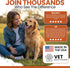 30 Calming Chews for Dogs - Peanut Butter Melatonin Dog Sleep Aid & Calming Dog Treats with Thiamine, L-Tryptophan