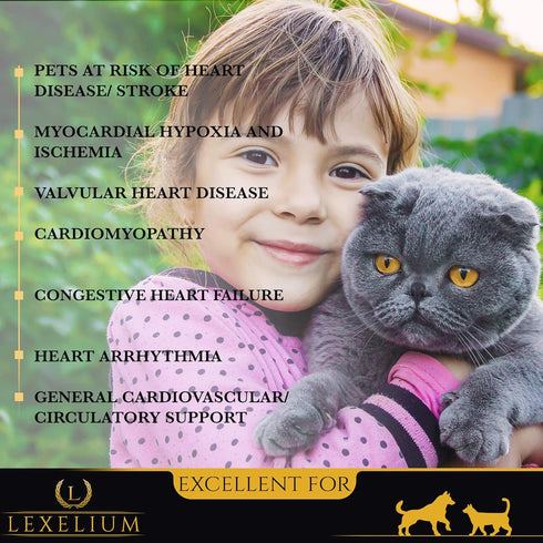 Heart Supplement for Dogs and Cats - Optimizes Heart Function & Circulation, 200g Easy to Mix Powder