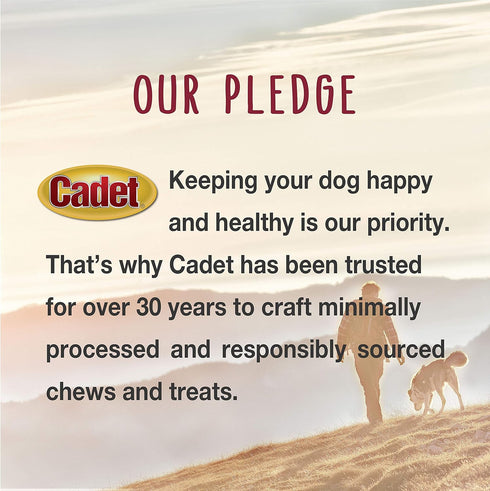 Cadet Junior Stuffed Shin Bones - Mini (2 Count) - Peanut Butter Flavor, Highly Digestible, High Protein Dog Chew Bone