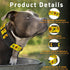 Dog Collar - Sunflower Floral for Boys Girls, Adjustable Soft Sunflower Pet Collar with Safety Buckle for Small Medium