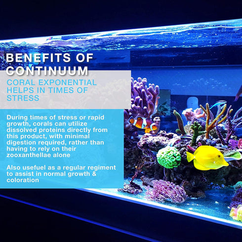 Continuum Aquatics Coral Exponential, 500 ml Coral Growth Accelerator & Amino Acid Complex for Live Corals & Reef