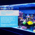 Continuum Aquatics Coral Exponential, 500 ml Coral Growth Accelerator & Amino Acid Complex for Live Corals & Reef