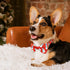 Christmas Dog Collar with Bow Tie, 2 Pack Holiday Santa and Snowman Collars for Small Medium Large Dogs