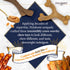 Nylabone Gourmet Style Strong Chew Wishbone Dog Chew Toy, Bacon Flavor, Small/Regular (1 Count)