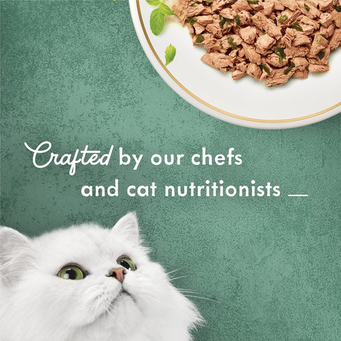(Pack 24) 3 oz. Purina Fancy Feast Wet Cat Food, Medleys Shredded Wild Salmon Fare With Spinach in a Savory Cat Food
