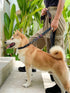 Tuff Pupper Heavy Duty Waterproof Action Leash - 6 Foot with Aluminum Quick Release, Locking Carabiner Clip