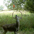 Wildlife Research CENTERscent Dispenser