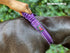 Heavy Duty Dog Collar with Handle, Ballistic Nylon Reflective Collar with Adjustable Stainless Steel Hardware