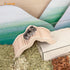 Niteangel Hamster Climbing Bridge Ladder for Small-Sized Pets, Acrylic SandBath Box