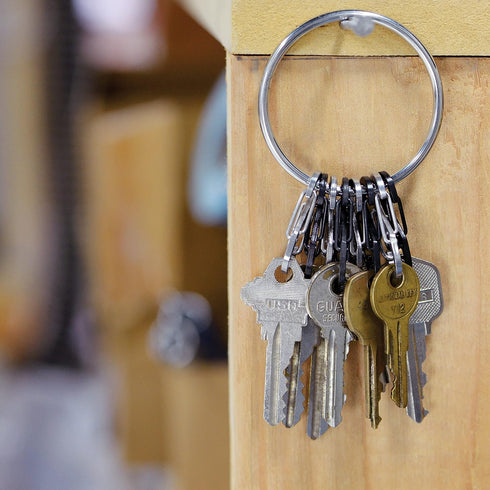 Nite Ize BigRing KeyRing, Multi Key Holder Carabiner with 8 Stainless Steel Key-Holding S-Biners