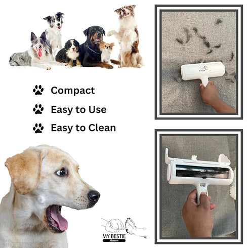 ATE Pro. USA 5 Set, Set, Puppy Supplies Starter Kit, pc Retractable Leash, Studded Leather Collar, Pet Grooming Brush