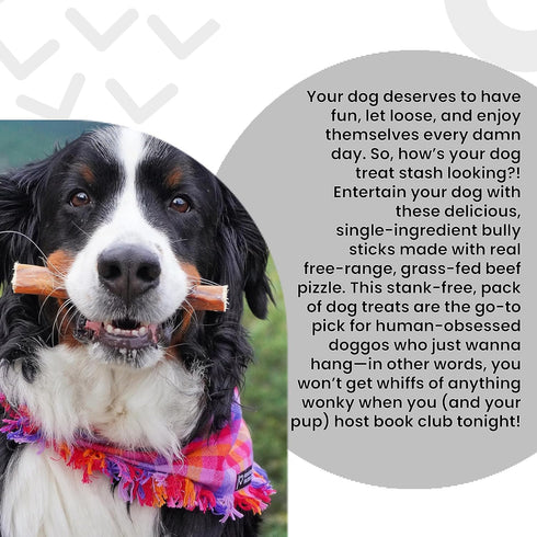 100% 6-Inch, Pack 5 I and love and you Free Ranger No Stink! Natural Grain Free Bully Stix - Low Odor, Beef Pizzle