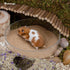 Niteangel Hamster Desert Bath Sand, No-Dust Bath or Potty Litter for Hamster, Chinchillas, Gerbil, Mice