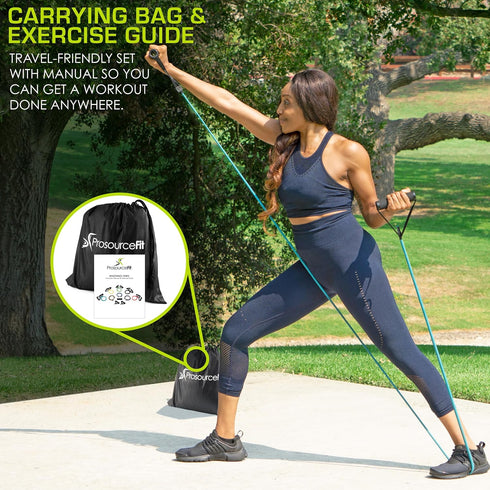 ProsourceFit Tube Resistance Bands Set with Attached Handles, Door Anchor, Exercise Guide for Home Workouts