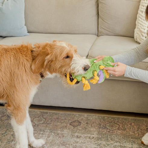 Squeaky Dog Stuffed Animals, Plush Chew Toy for Large Breeds, Crinkle Paper Tug of War, Soft Tough Squeaker Dragon