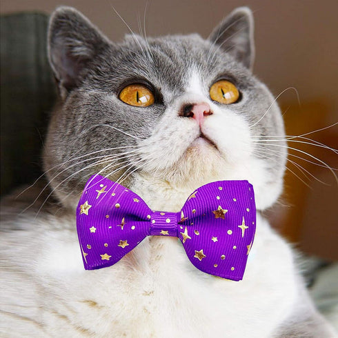 2 Pack Cat Collar with Bow Tie and Bell, Breakaway Starshine Collar for Male Female Cats (Black+Purple)