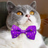 2 Pack Cat Collar with Bow Tie and Bell, Breakaway Starshine Collar for Male Female Cats (Black+Purple)
