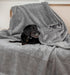 Waterproof Dog Blankets for Large Dogs, Washable Sherpa Blanket for Bed, Pet Covers for Couches, 40x60, Light Grey