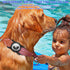 Waterproof Airtag Collar Holder, 2 Pack Aluminum Full Body Covered Case for Pet Collar