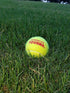 (45 pack Tourna Pressureless Tennis Balls with Vinyl Tote of balls)