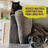 ATack Cat Anti-Scratch Training Tape, Clear, Residue-Free, 2.5" x 20 Yards, Scratch Deterrent for Furniture