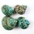 Heyiwell 3.5"~4.5" Inch Natural Large Jade Turbo Seashells&Hermit Crab Shells