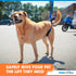 Up-n-Go Rear Support Lifting Harness for Dogs, Helps with Arthritis, Weakness, Joint Injuries Rehab
