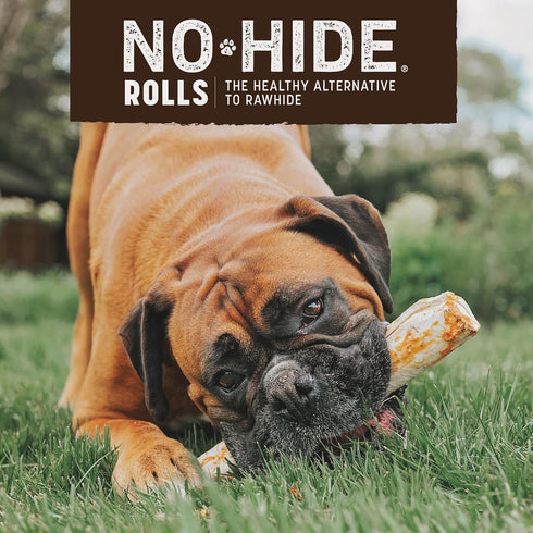 Earth Animal No Hide Large Beef Flavored Dog Chews, Long Lasting Chew Sticks for Large Dogs, Rawhide Free.