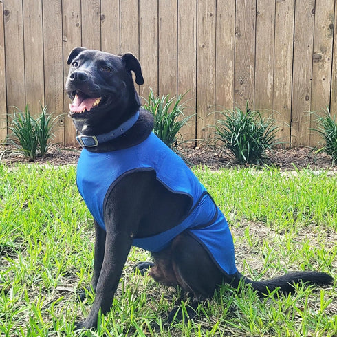 Dog Cooling Vest, Lightweight Jacket with Evaporative Cool Microfiber Technology for Dogs